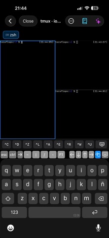 IOSTerm screenshot