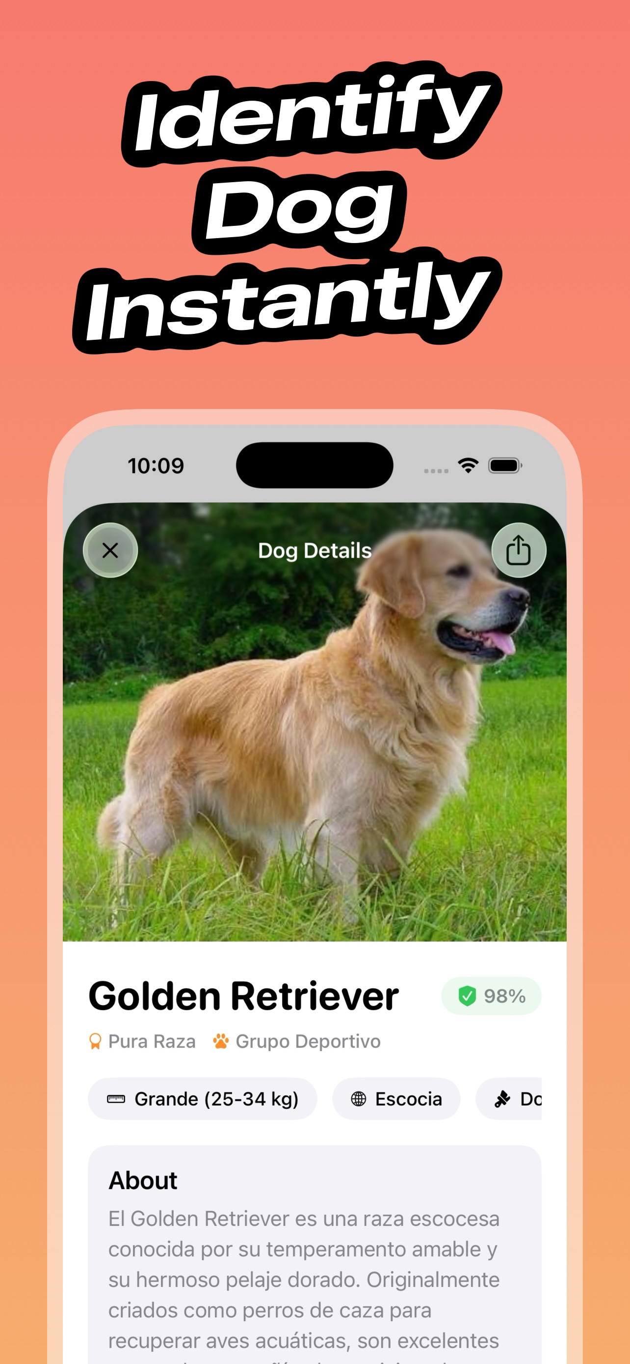 DogSnap: Dog Breed Identifier