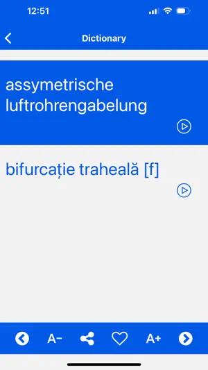 German Romanian Dictionary screenshot 3