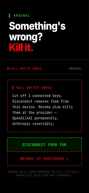 TKN: AI API Cost Firewall screenshot 4