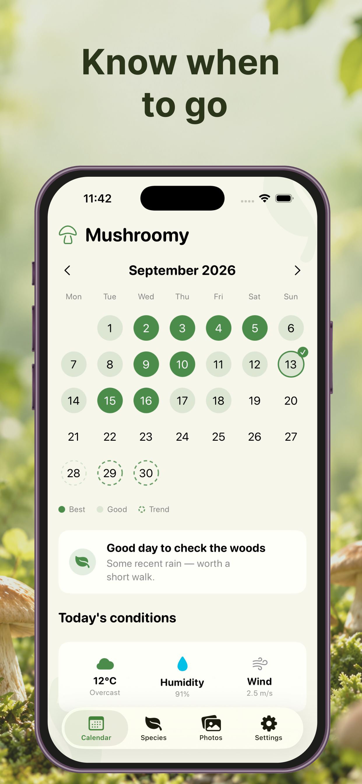 Mushroomy