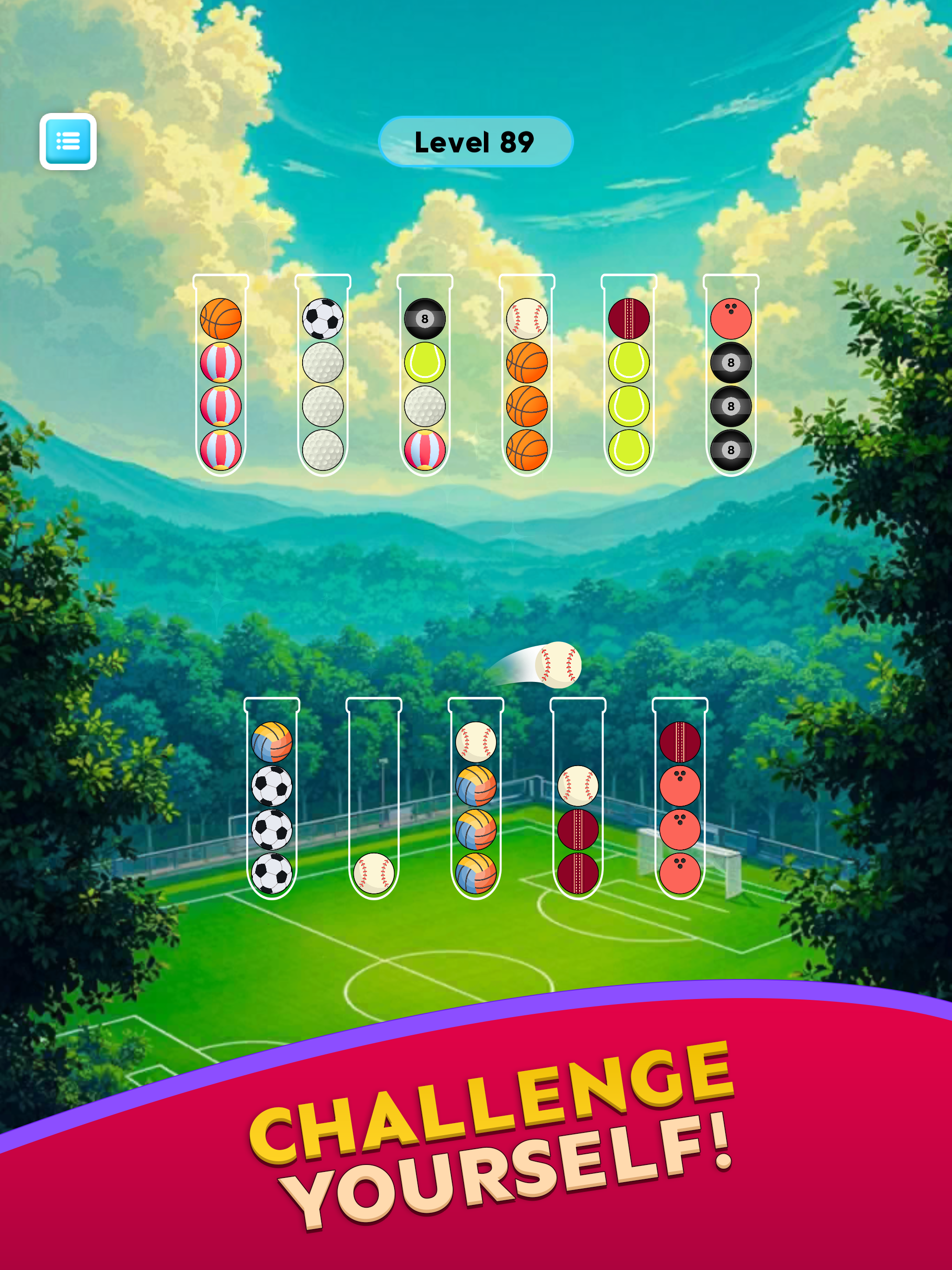 Ball Sort Puzzle Sports Game