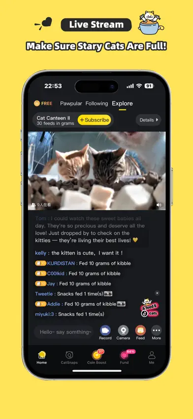 Purrrr-Feed&Rescue Stray Cats screenshot 3