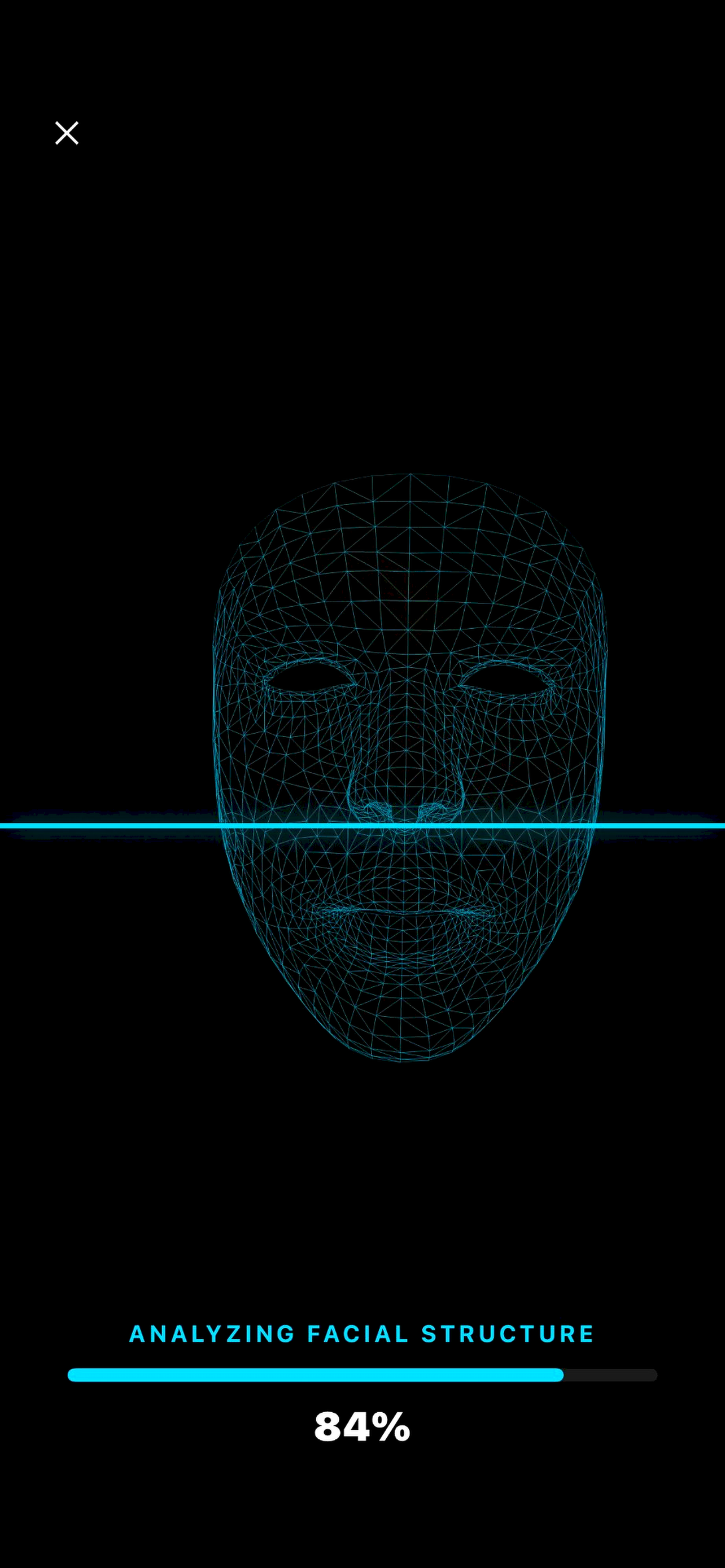 Vertex Face Lab