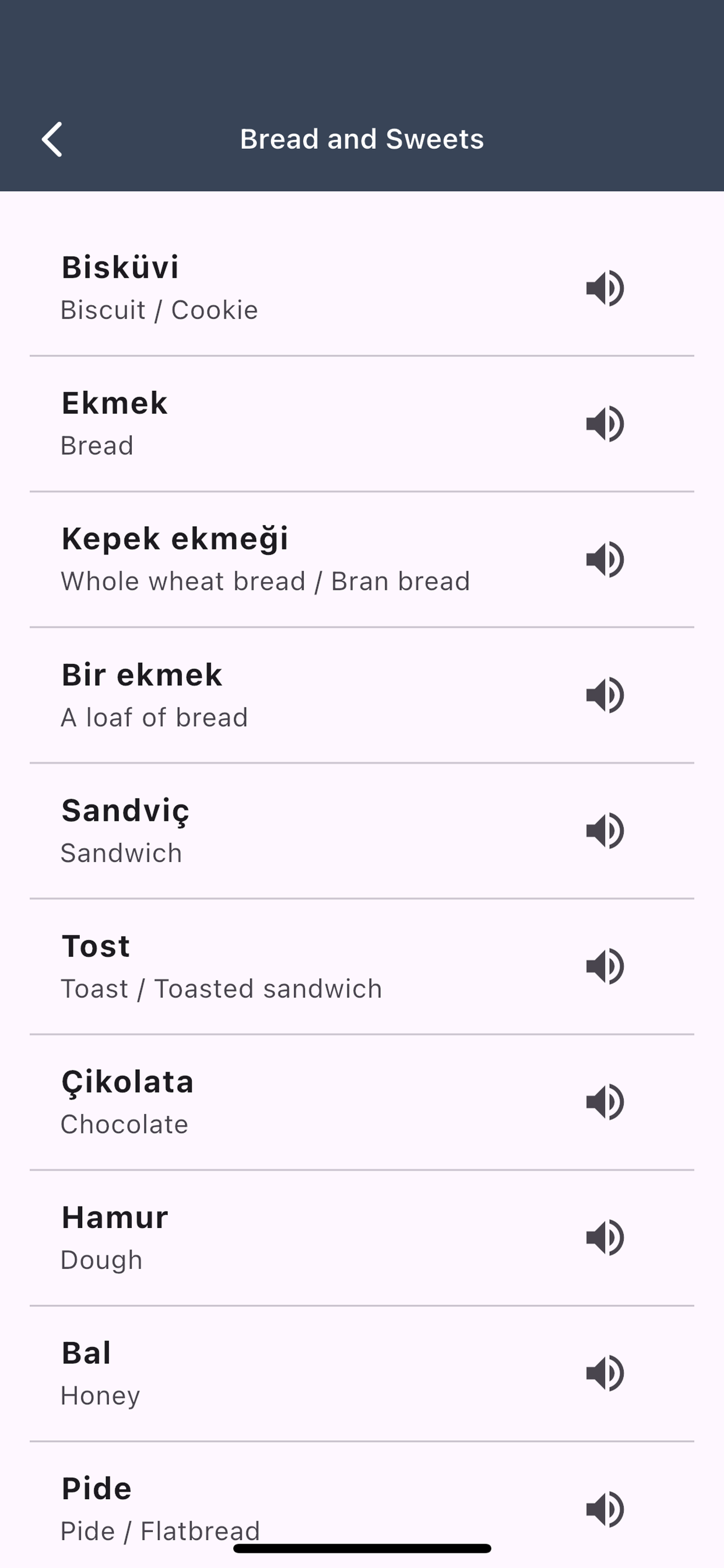 Turkish-Language screenshot 5