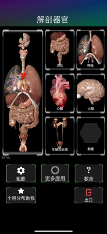 ORGANS 3D (ANATOMY) screenshot