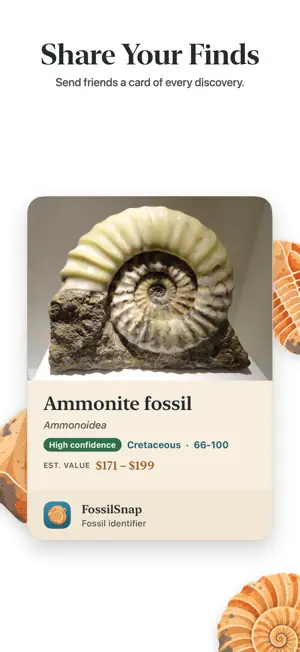 FossilSnap: Fossil Identifier screenshot 4