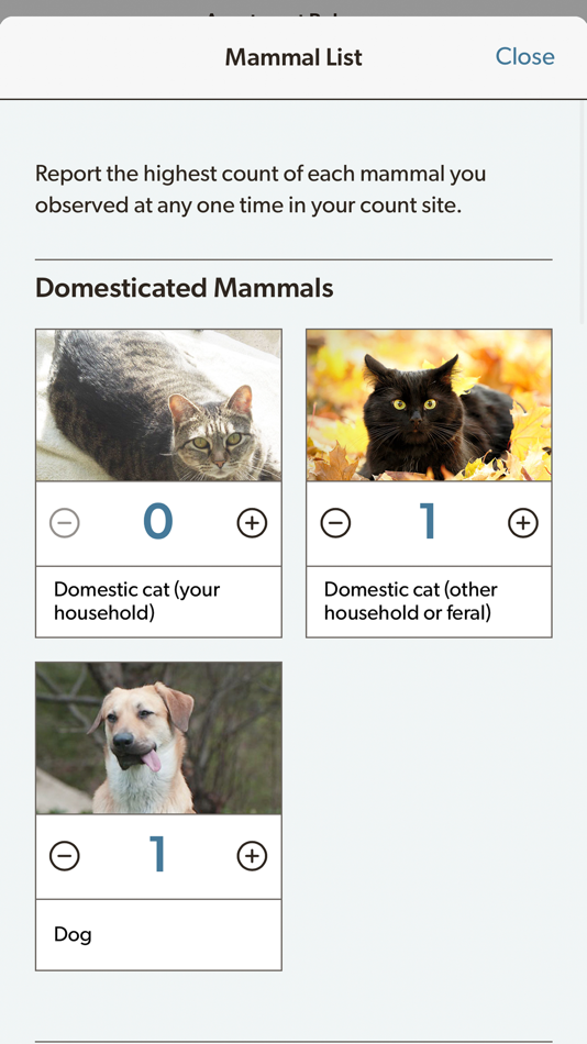 #5. Project FeederWatch (iOS) 由: Cornell University