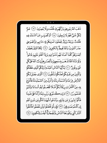 alkasa iPad screenshot 4