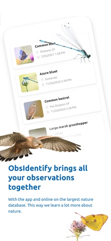 ObsIdentify Screenshot 2 of 6