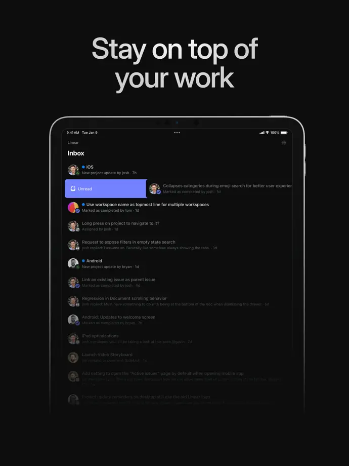 Linear iPad screenshot 2