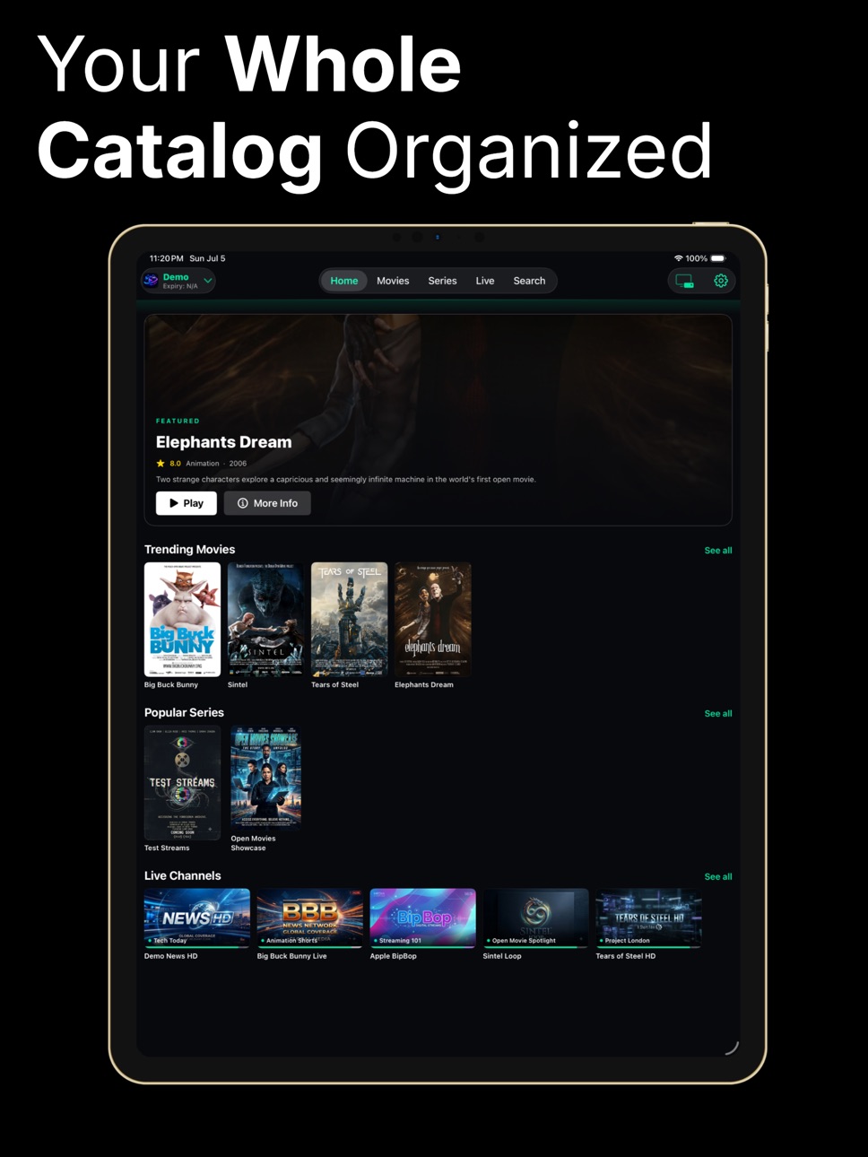 iPad screenshot