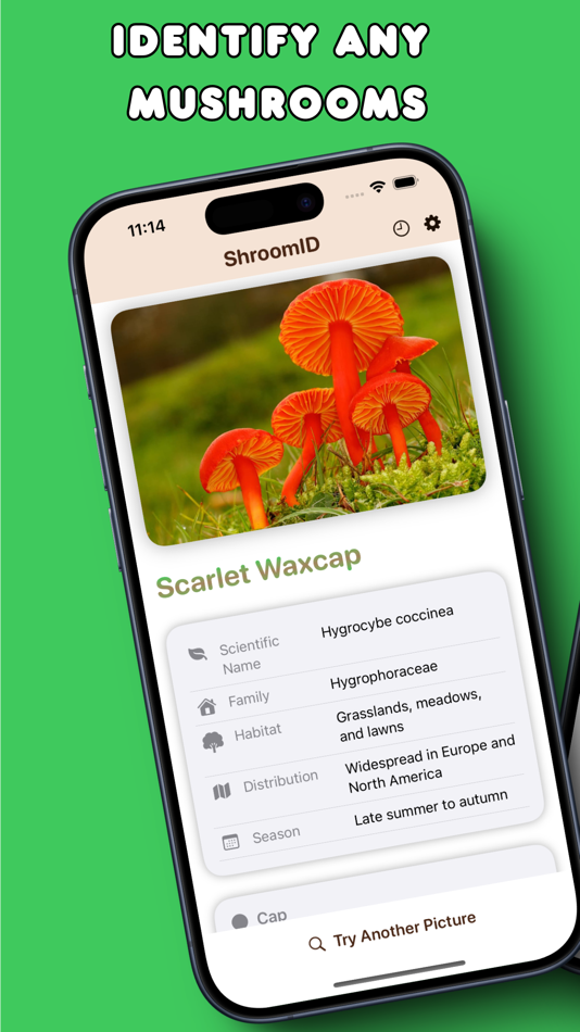 #1. Mushroom & Fungi ID: ShroomID (iOS) 由: Cristian Alan Canales Mota