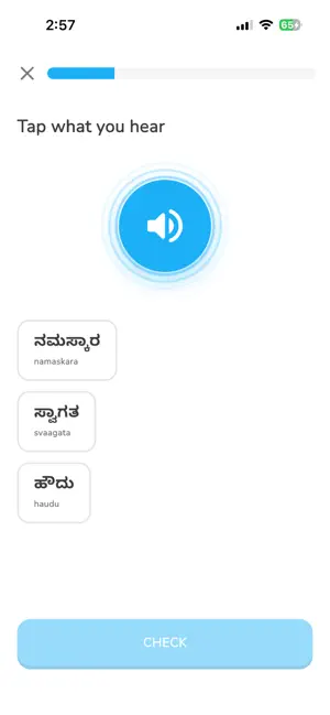 Desilingo: Indian Languages screenshot 3