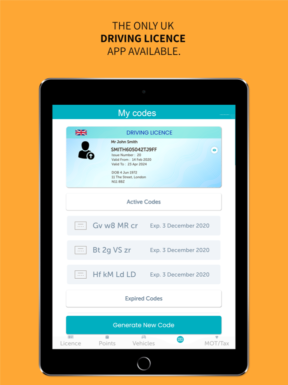 Screenshot #5 pour Driver Codes - driving licence