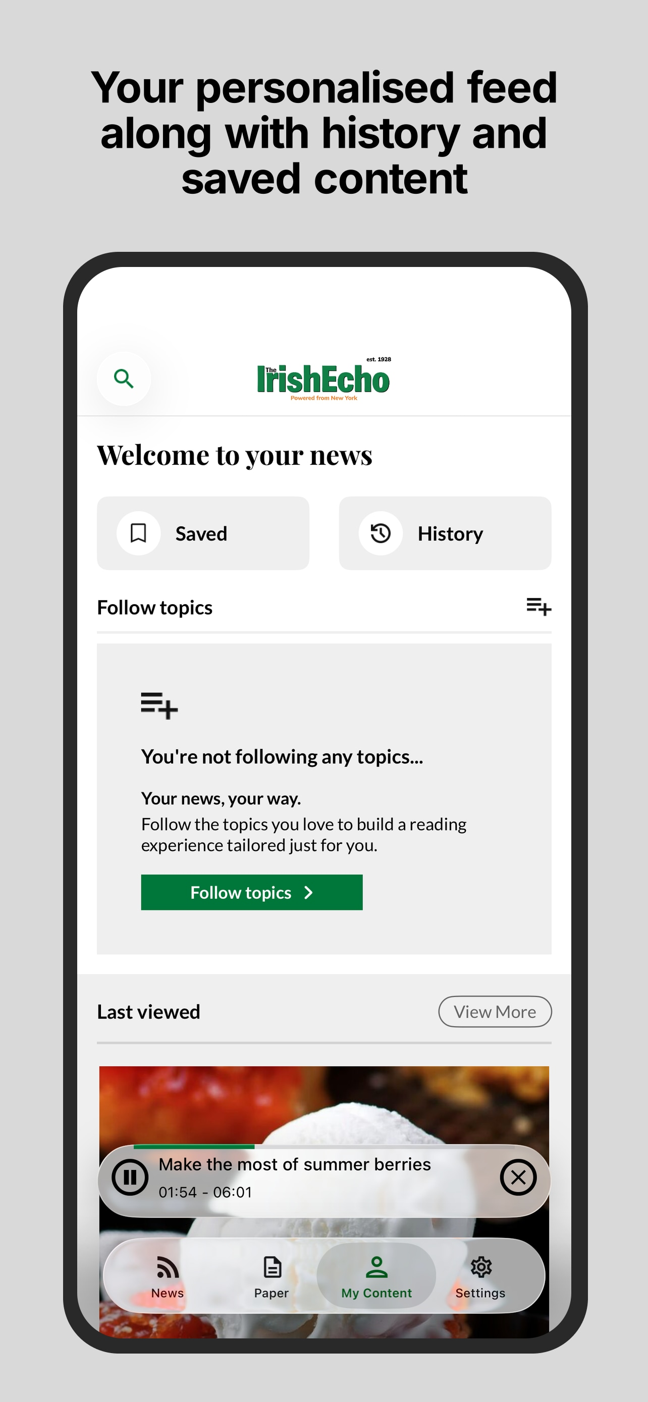 Irish Echo screenshot 4