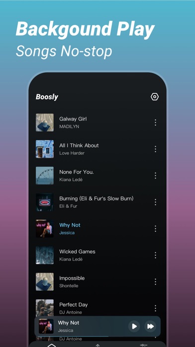 Offline Mp3 Music- Boosly Screenshot