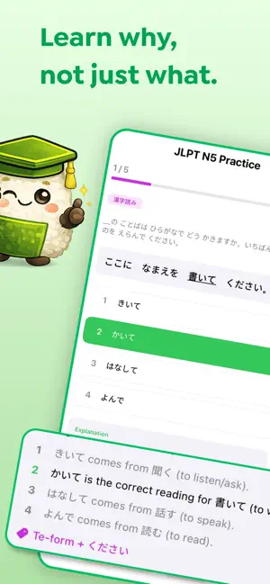 Raisu JLPT - Japanese Quiz screenshot 1