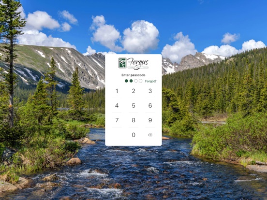 Fergus FCU iPad screenshot 2 - Finance app