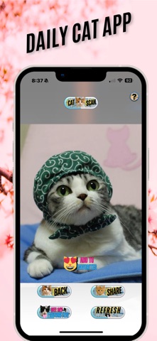 DailyCatApp Screenshot 1 of 6