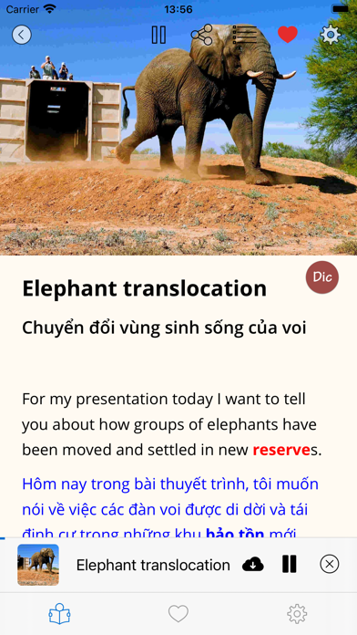IELTS ECCYL Screenshot