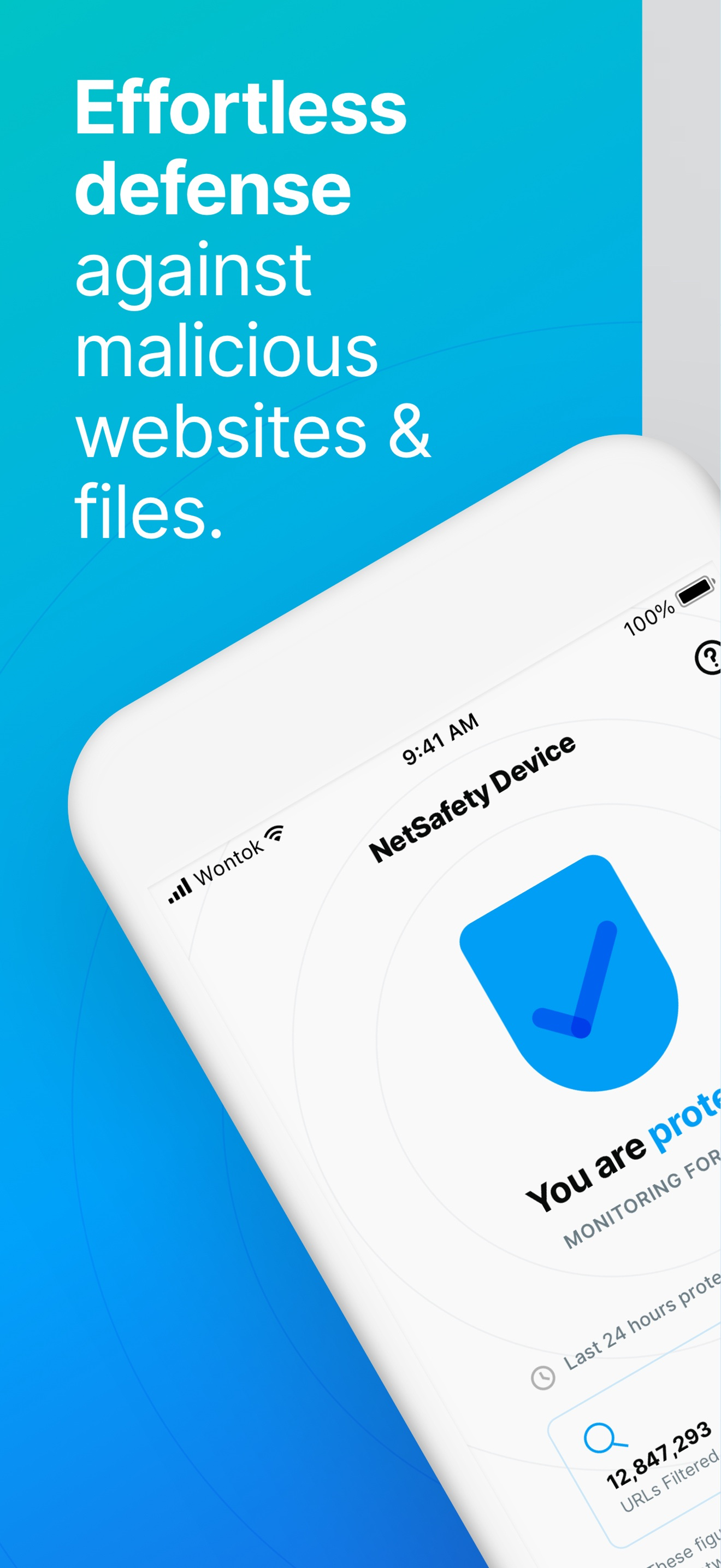 NetSafety Device