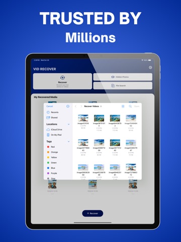 Video Recovery: Restore Files iPad screenshot