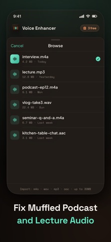 AI Voice Enhancer: Noise Fix iPhone screenshot