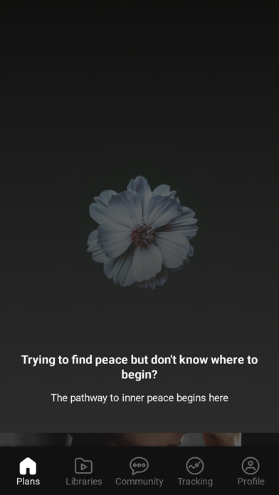 Aligned – Body, Mind & Soul Screenshot