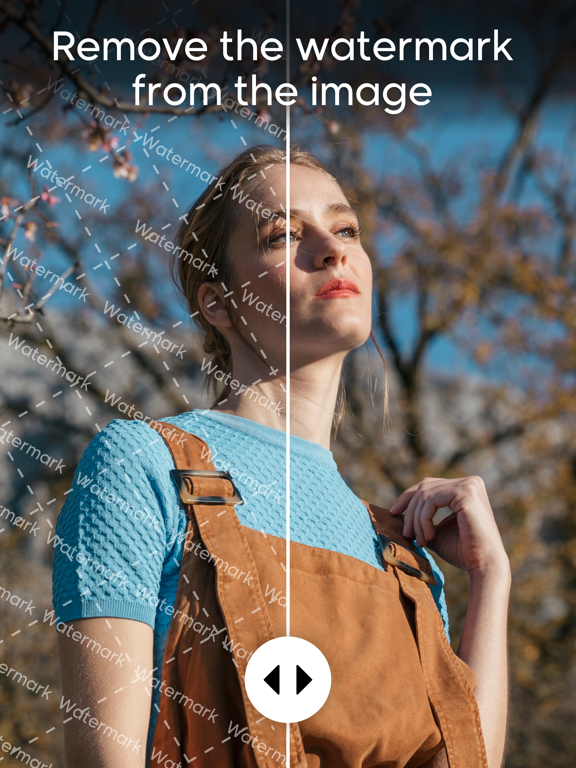 Passport Photo Maker: Photo ID iPad screenshot 2 - Graphics & Design app