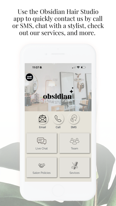 Obsidian Hair Studio Screenshot