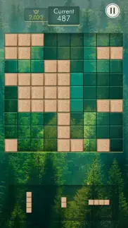 zendoku - Блоковая головоломка айфон картинки 3