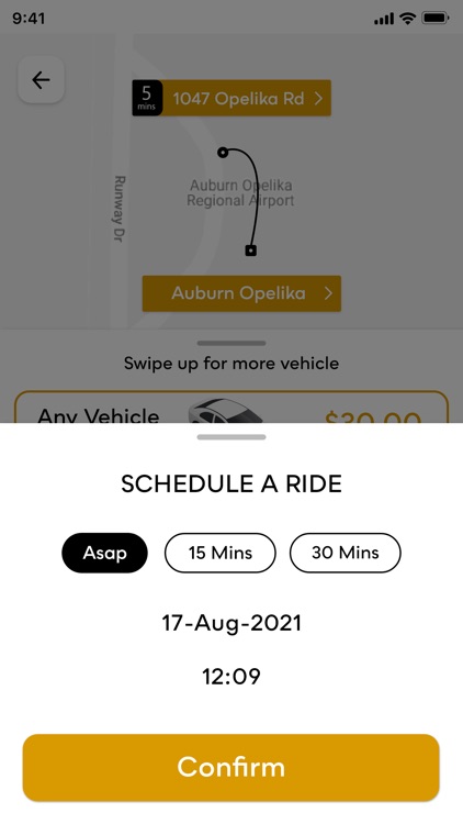 Tiger Limousine screenshot-4