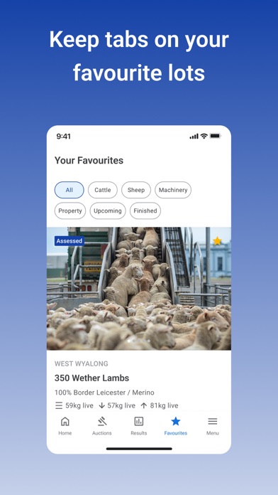 AuctionsPlus Screenshot
