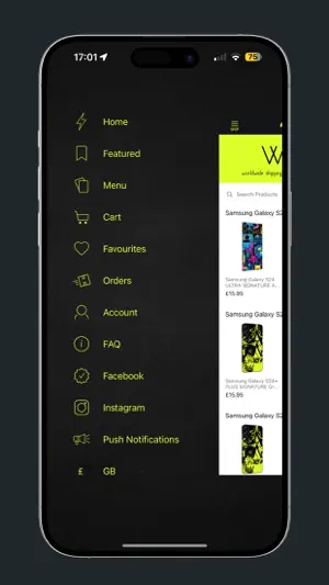 Qskinz screenshot 2