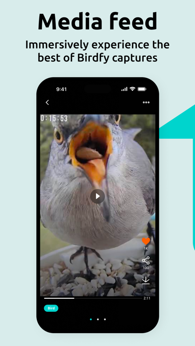 Birdfy Screenshot