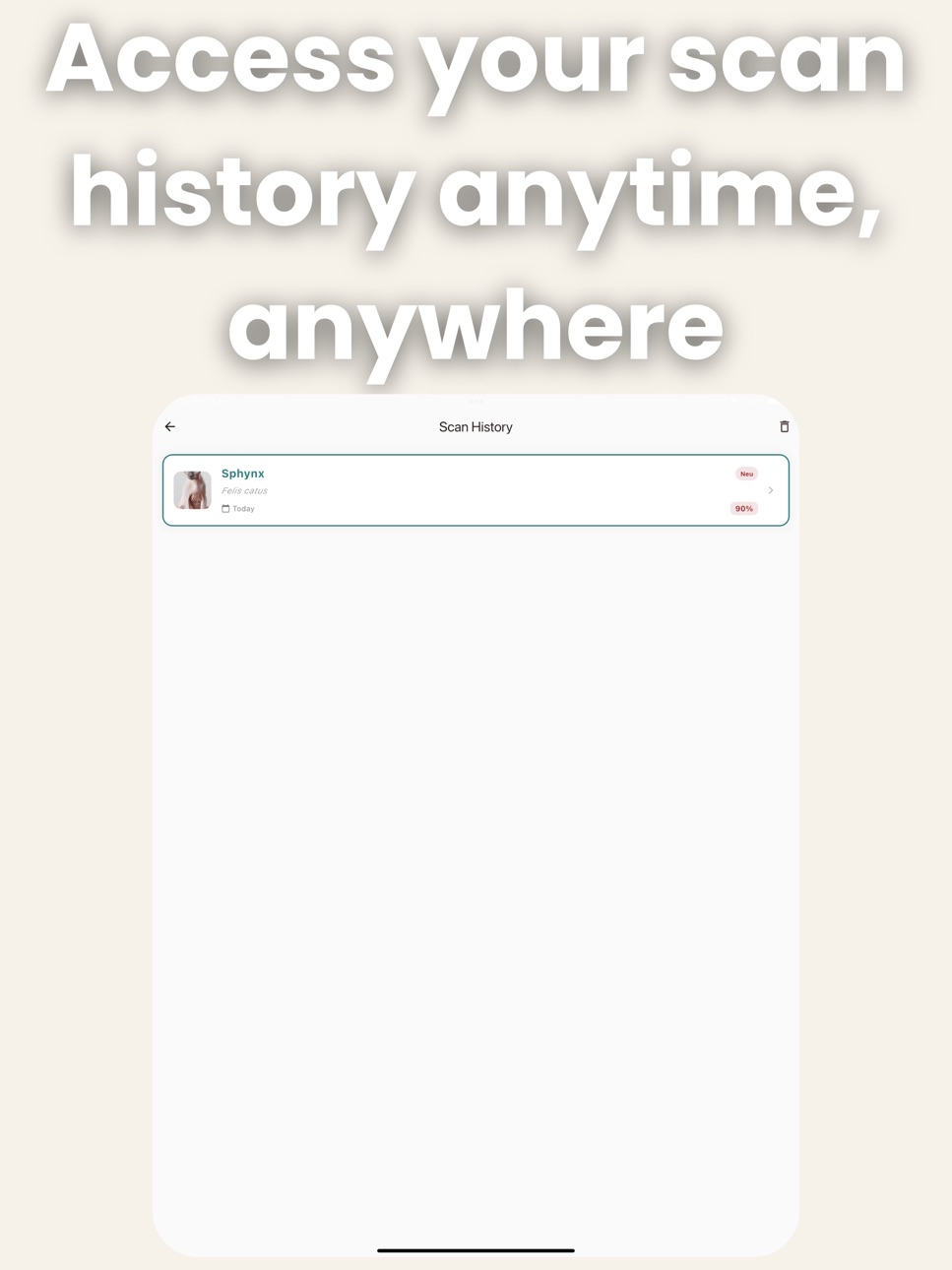 iPad screenshot