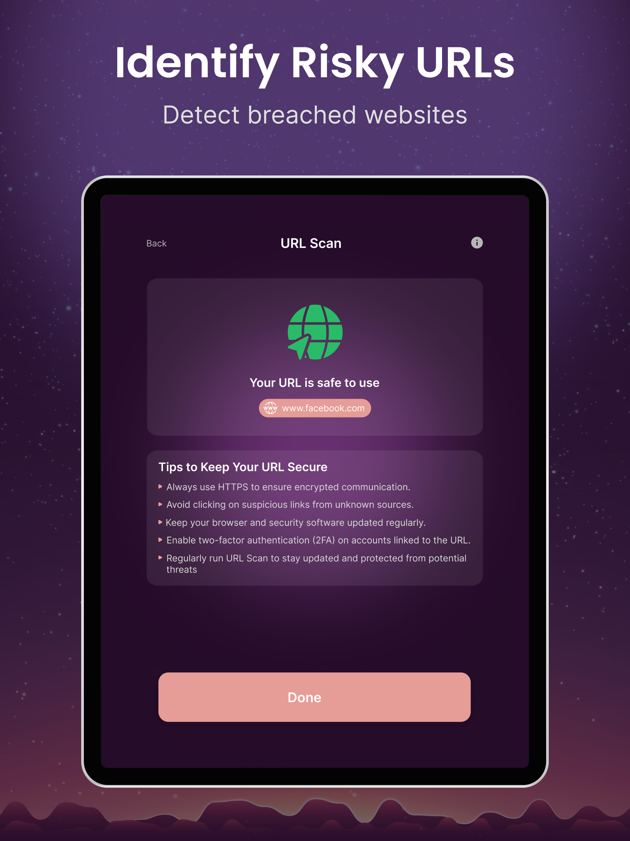 Secure Browser for TOR Network