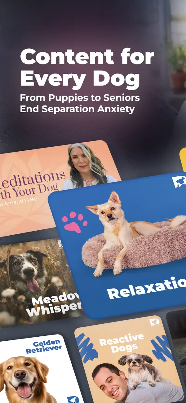 Screenshot #3 pour DOGTV