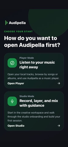 Audipella screenshot