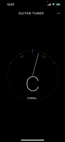 TuneHub - Guitar Tuner screenshot