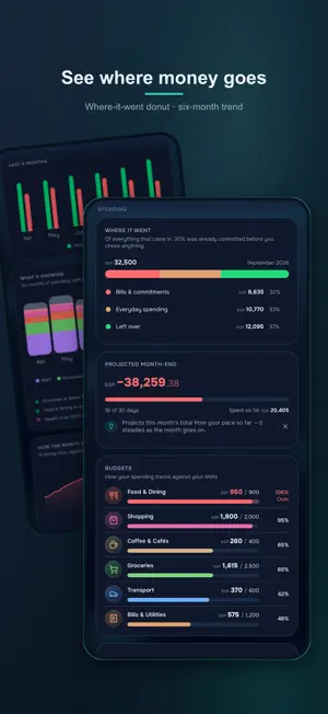 Masareef: Auto Expense Tracker screenshot 3