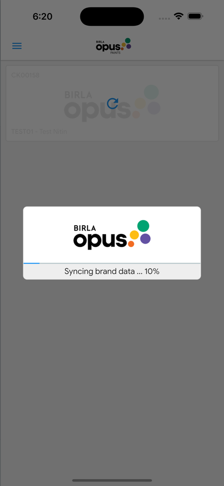 Birla Opus Paintcraft Pulse screenshot 2