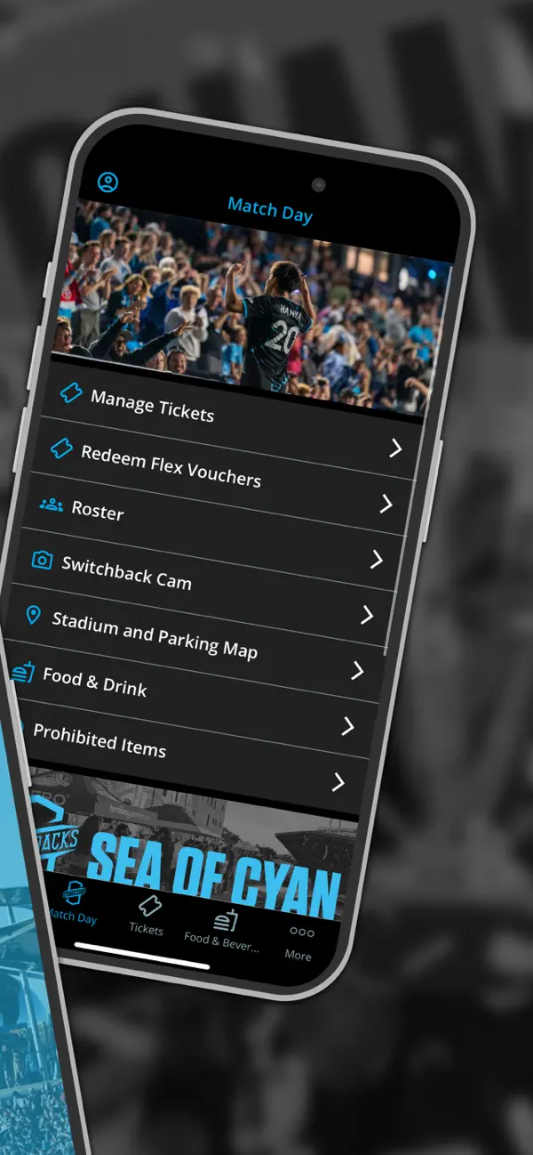 Screenshot #2 pour Switchbacks FC
