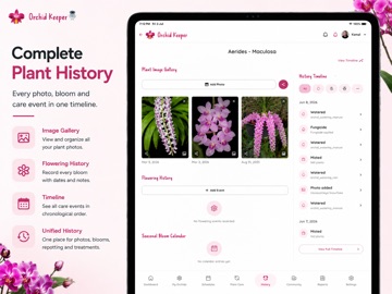 Vogelkop Orchid Key Screenshot 3