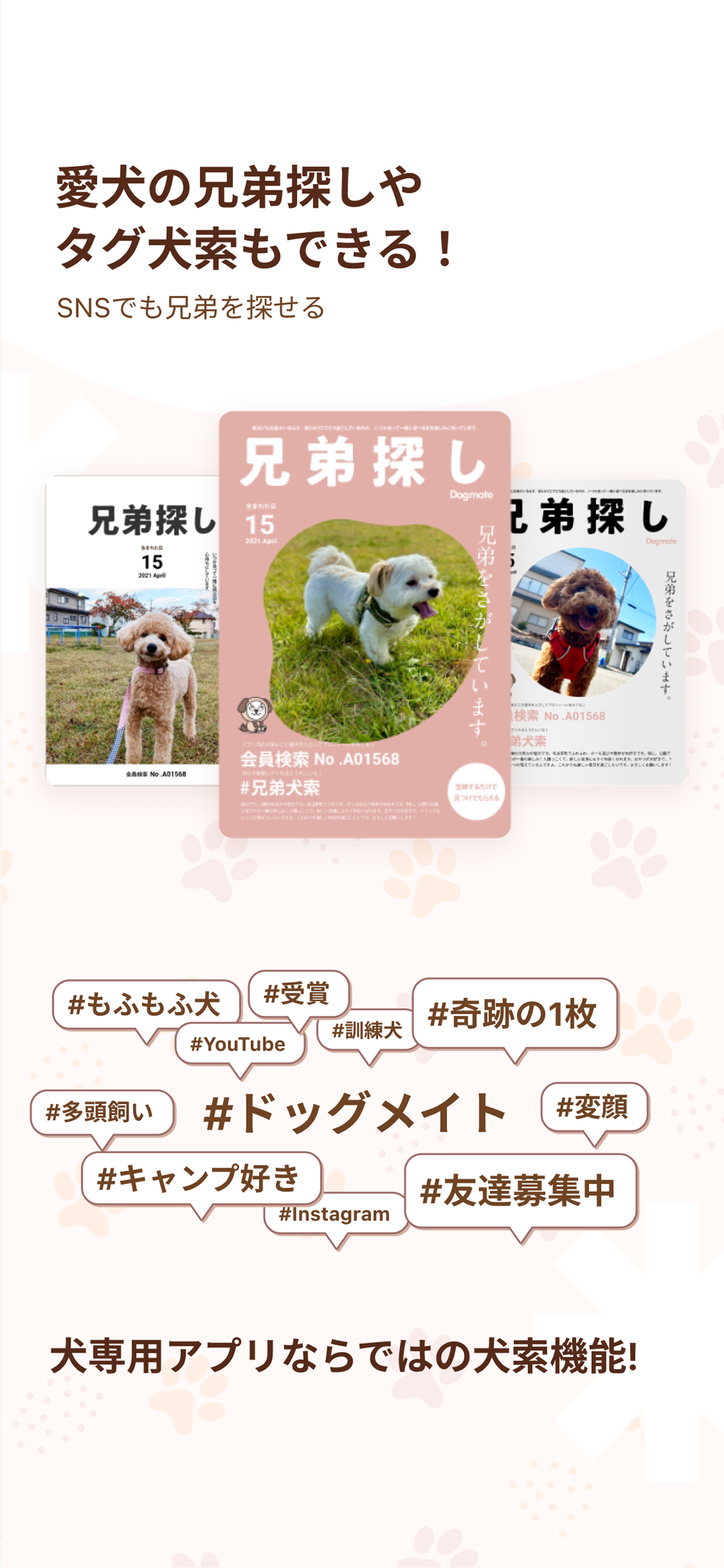 Dogmate -愛犬家専用アプリ- screenshot 3