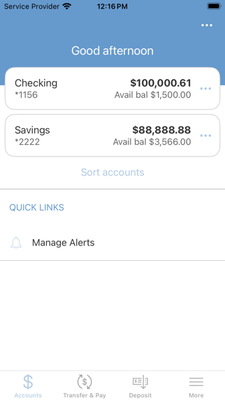 Brookline Municipal CU Screenshot