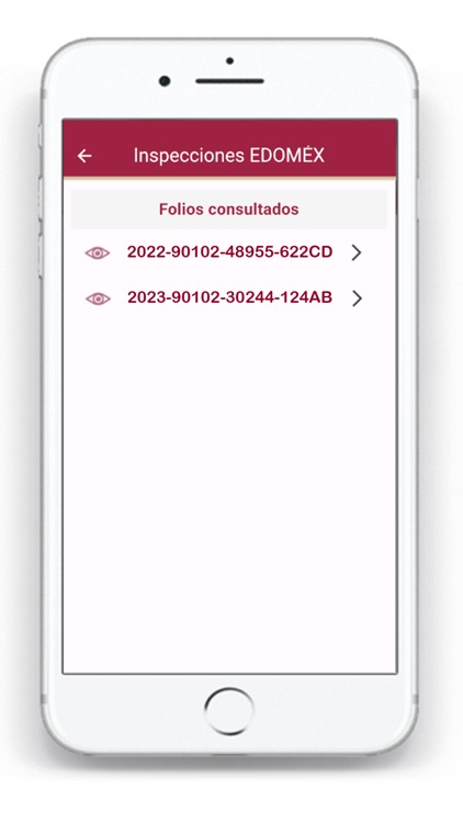 Inspecciones EDOMEX screenshot-5
