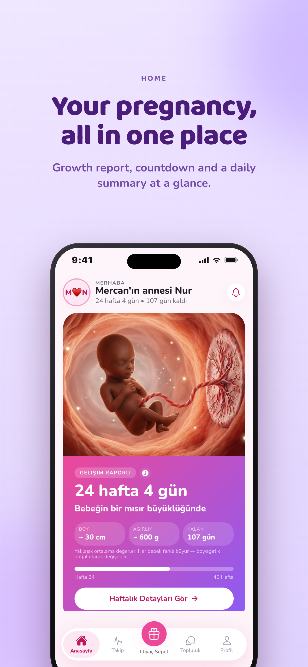 Mommy & Mini: Pregnancy