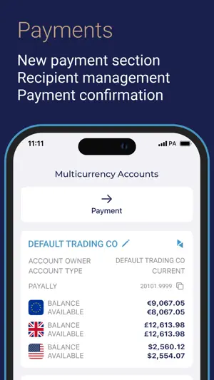 PayAlly Portal screenshot 3